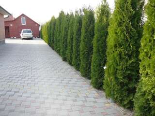 Дома для отпуска Усадьба Cветлые Росы Брест Дом с 3 спальнями-101